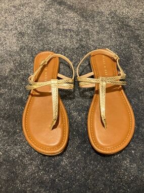 Kelly & Katie Gold Sandals (US WOMENS 7.5)